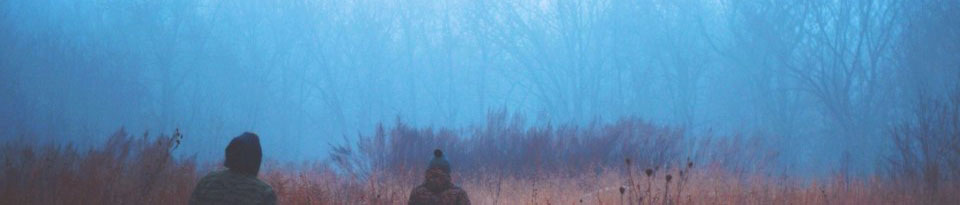 Osuuskunta Luonnoste